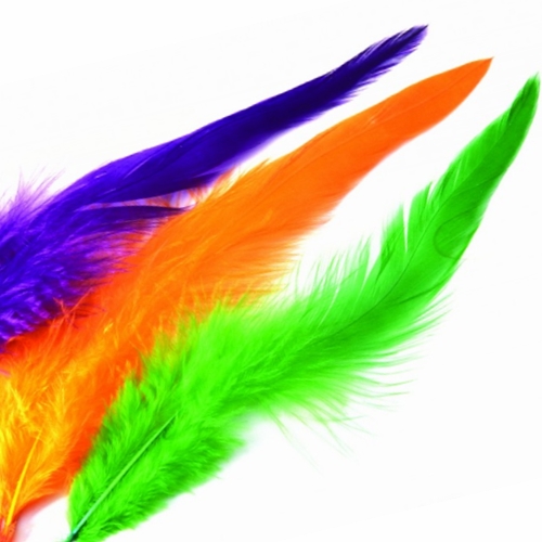 Generic Feathers